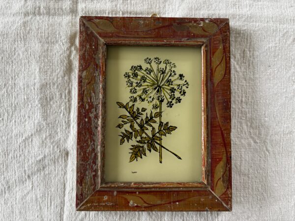 Glass Painting of Cow Parsley